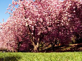 Aproveite a chegada da Primavera